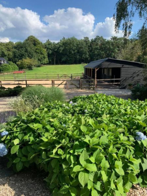 Bed and Breakfast De Paalberg